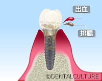 メイテナンスと定期検診